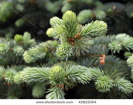 Валерий Масляной