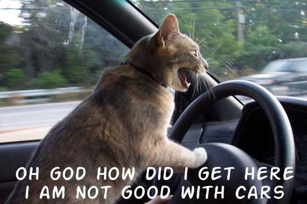 Игнат Марюшкин