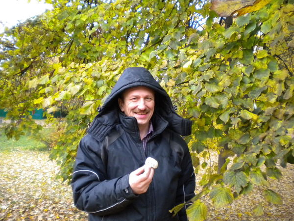 Алексей Головастов