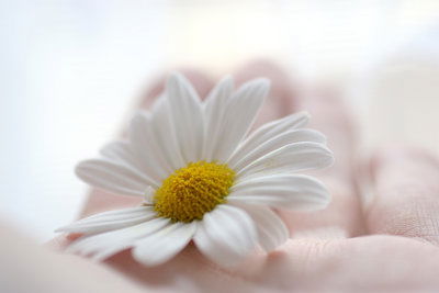 Ольга Шалайкина