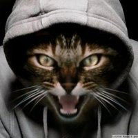 Дима Малышев