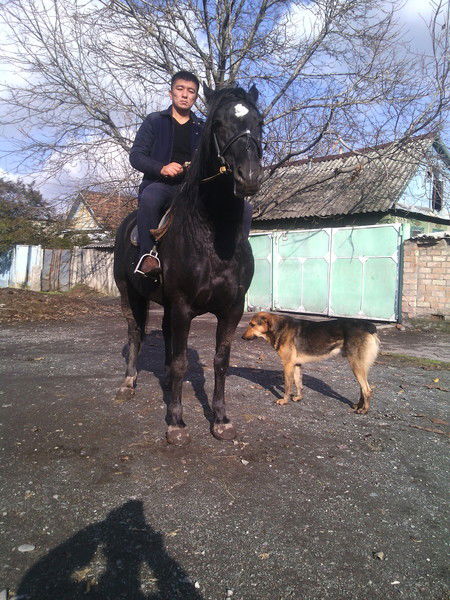 Арстанбек Кадыров