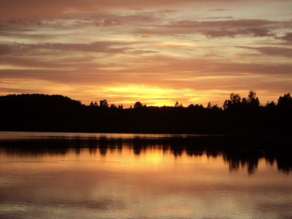 Алена Еременко