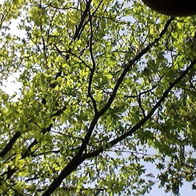 Егор Костин