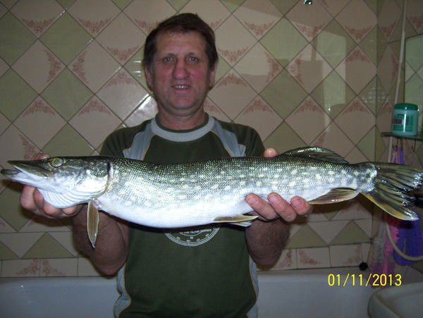 Алексей Алексеевич Терентьев