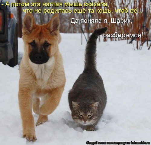 Руслан Иличкин