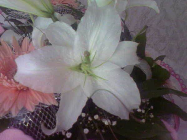 Оля Макарова