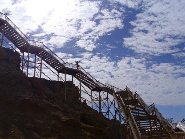 Наталья Швец