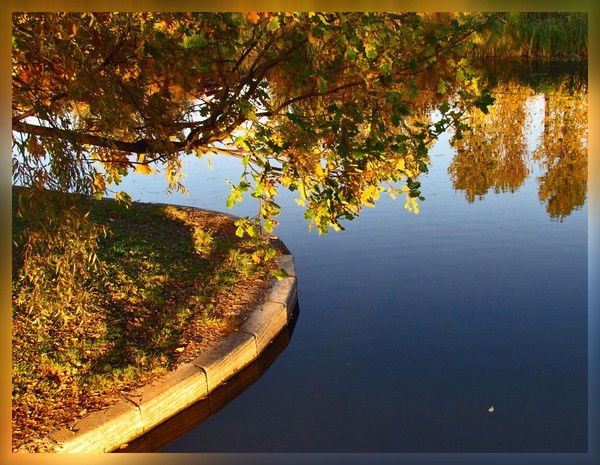 Максим Неутратов