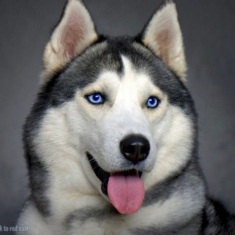 Екатерина Варцева