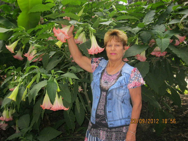 Раиса Соколова