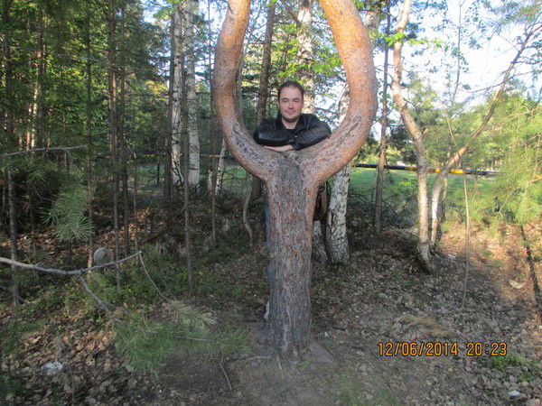 Сергей Бухарин