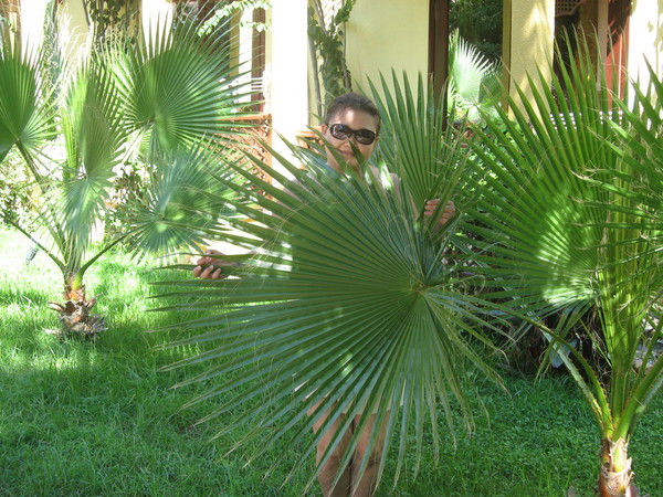 Аселя Тайкулакова