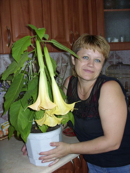 Светлана Сикорская