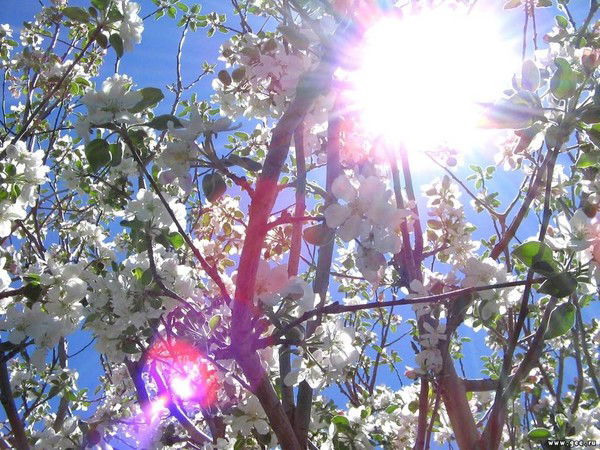 Анара Каптаева