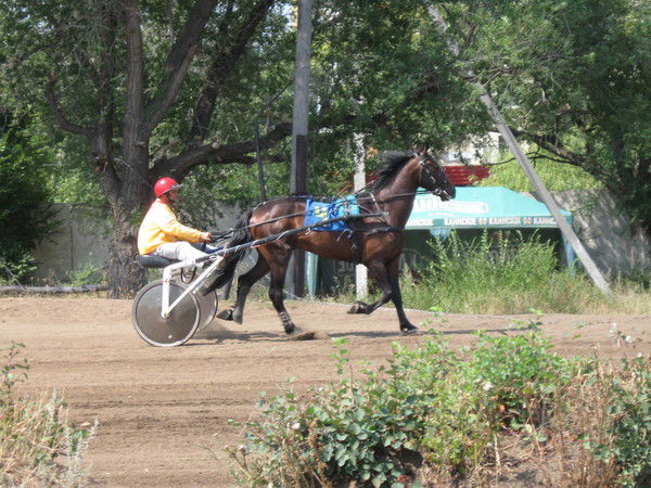 Валерий Водопьянов