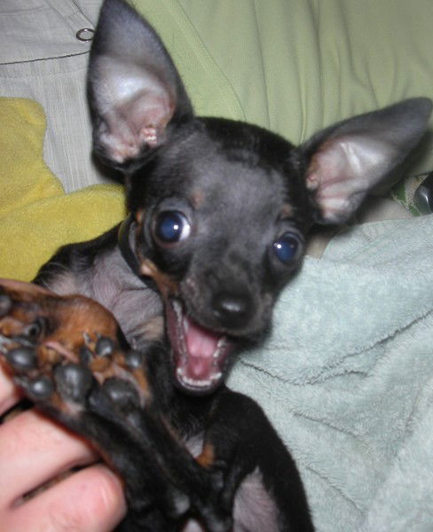 Сергей Кутузов