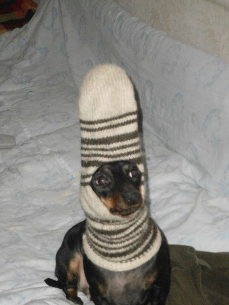 Анатолий Алферов