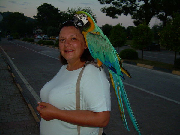 Татьяна Вилисова