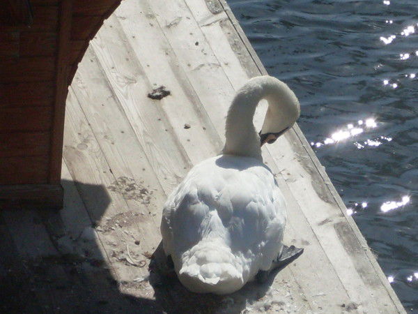 Не Такая Как Все Не Такая Как Все