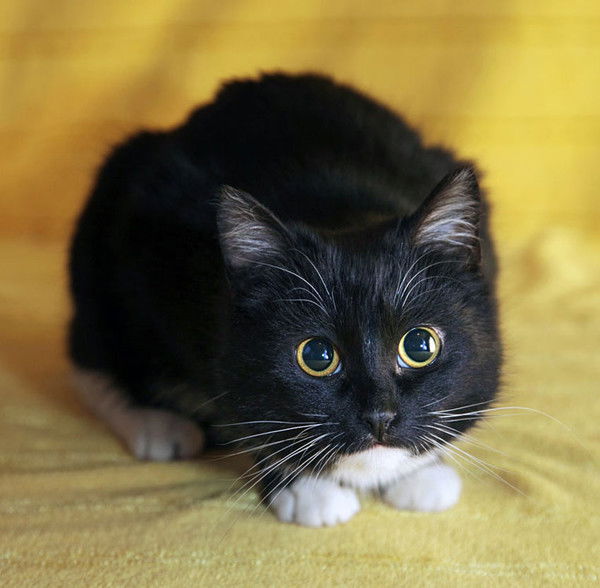 Наталья Зотова