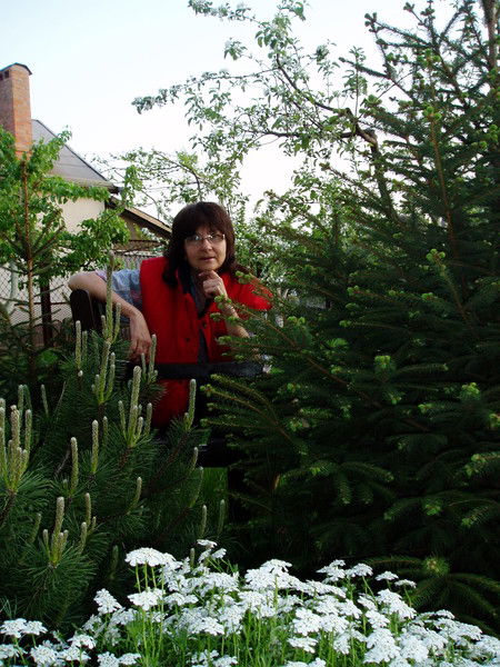 Светлана Орел