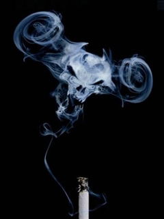 Денис Пинегин