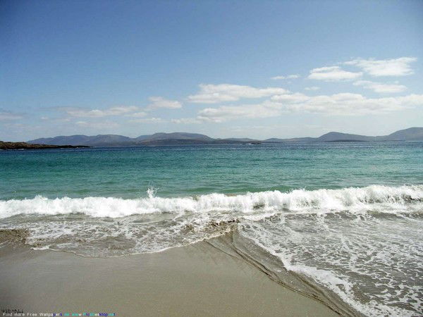 Юлия Жизневская