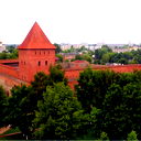 Николай Козлов