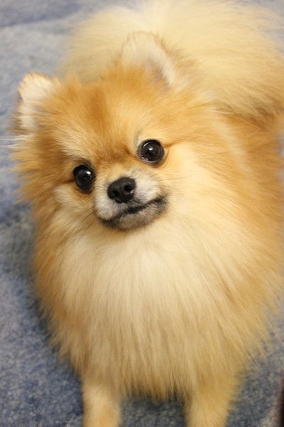 Неизвестно Неизвестно