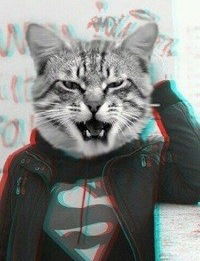 Артём Кондратов