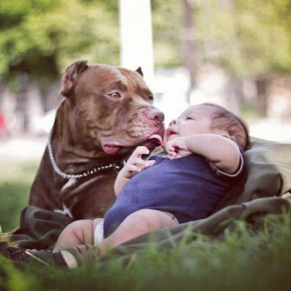 Лариса Иванова