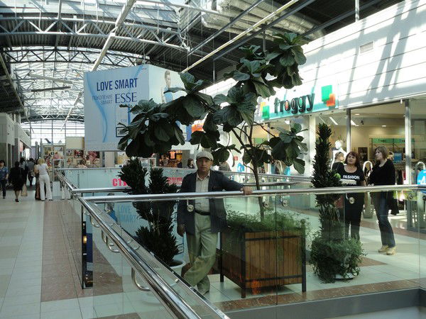 Юрий Стрельцов