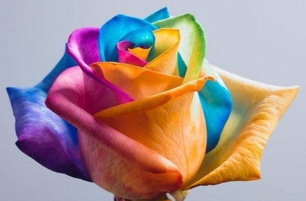 Эльза Масагутова