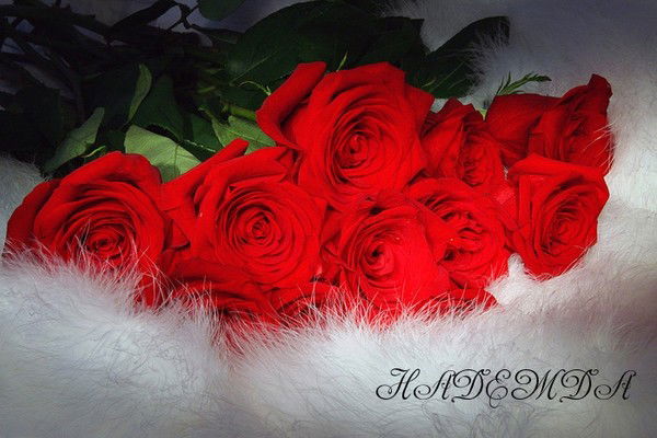 Надежда Пахачева