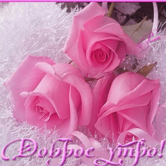 Марьяна Олейник