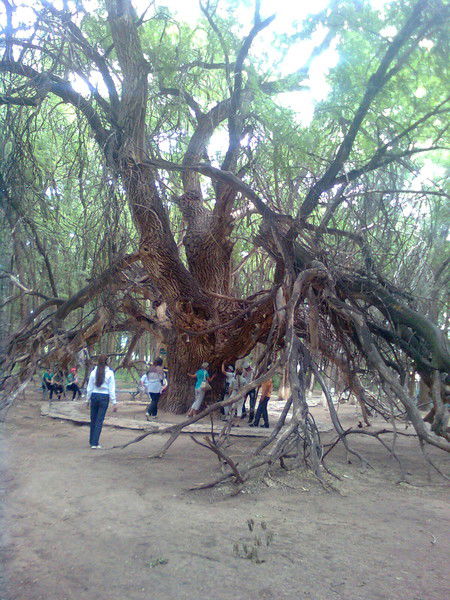 Улкенагаш Ауылдық Округ