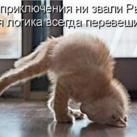 Тима Мизембаев