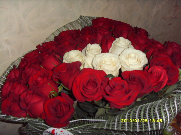 Андрей Сорокин