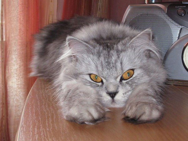 Наталия Седова