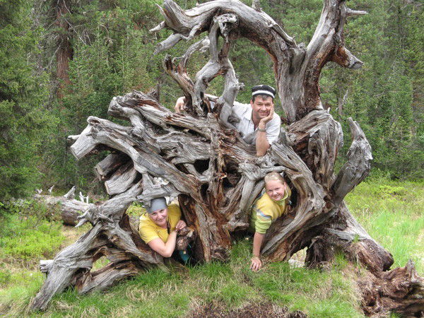 Владимир Лапшин