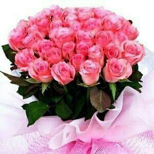 Анна Тесленко