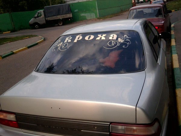 Елена Волкова