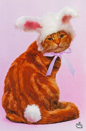 Наталья Подалинская