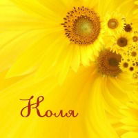 Николай Мун