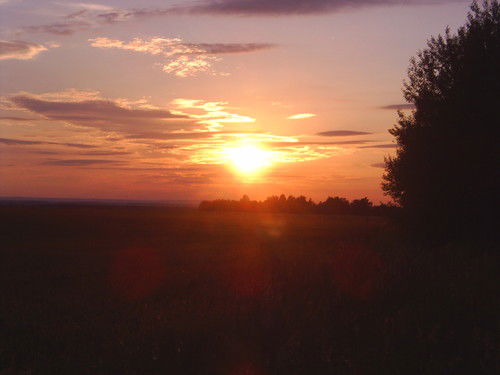 Татьяна Петри