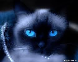 Екатерина Клюева