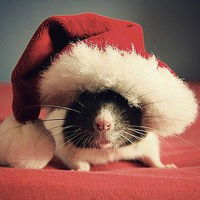 Змей Искуситель