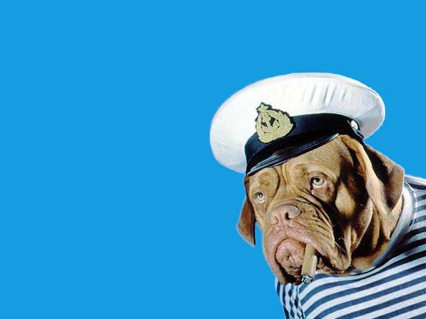 Сергей Меркулов