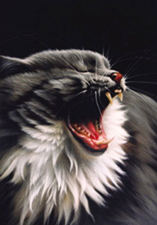 Сергей Попов